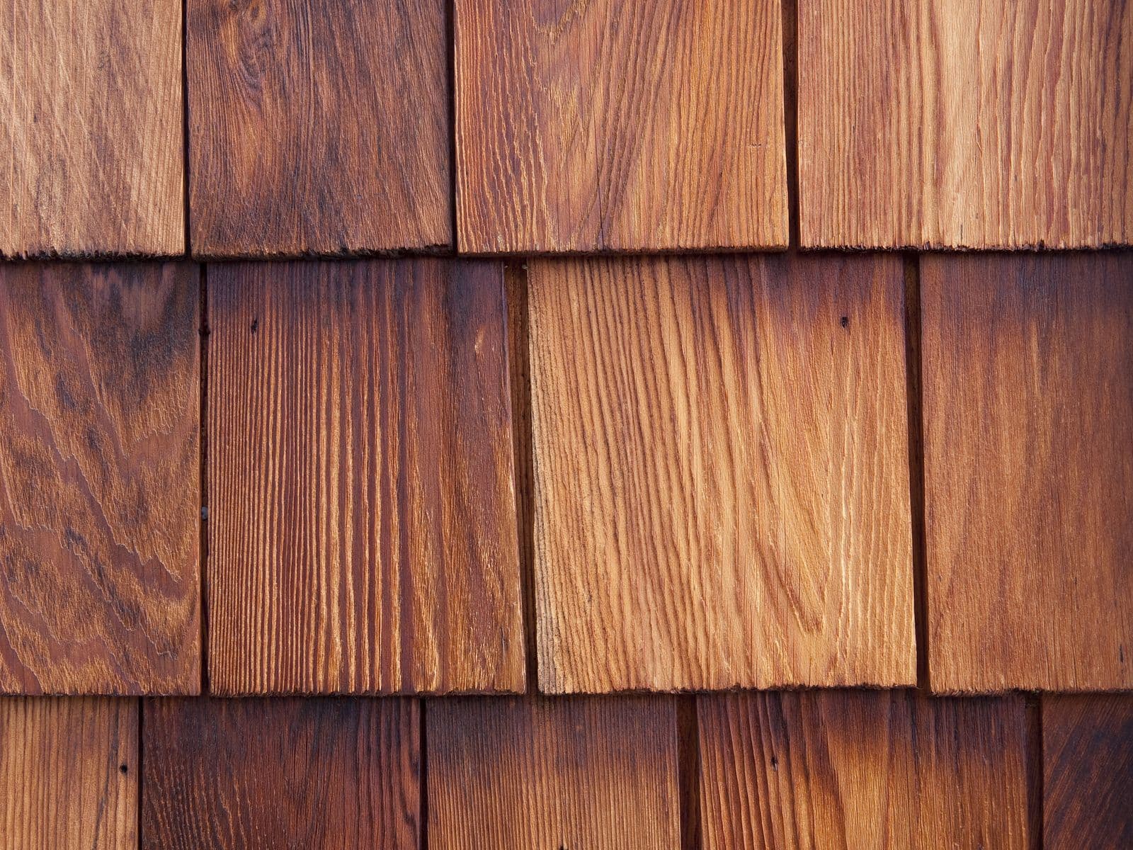 Cedar