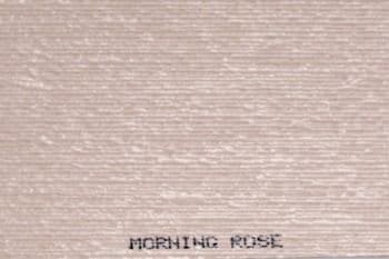 morning-rose