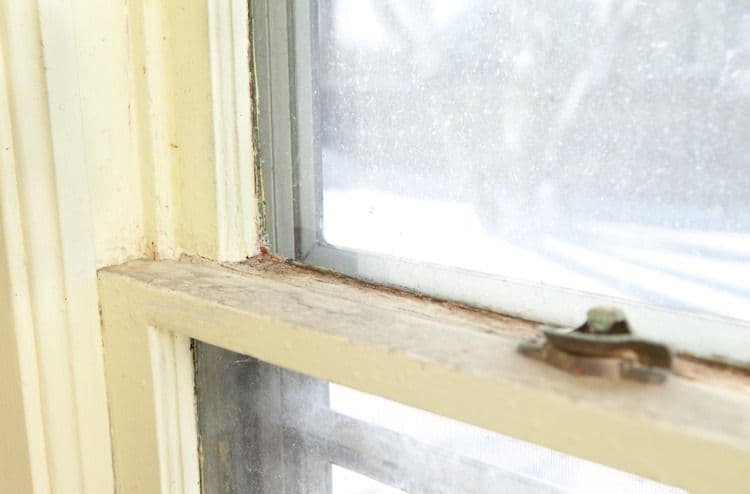 close up of window