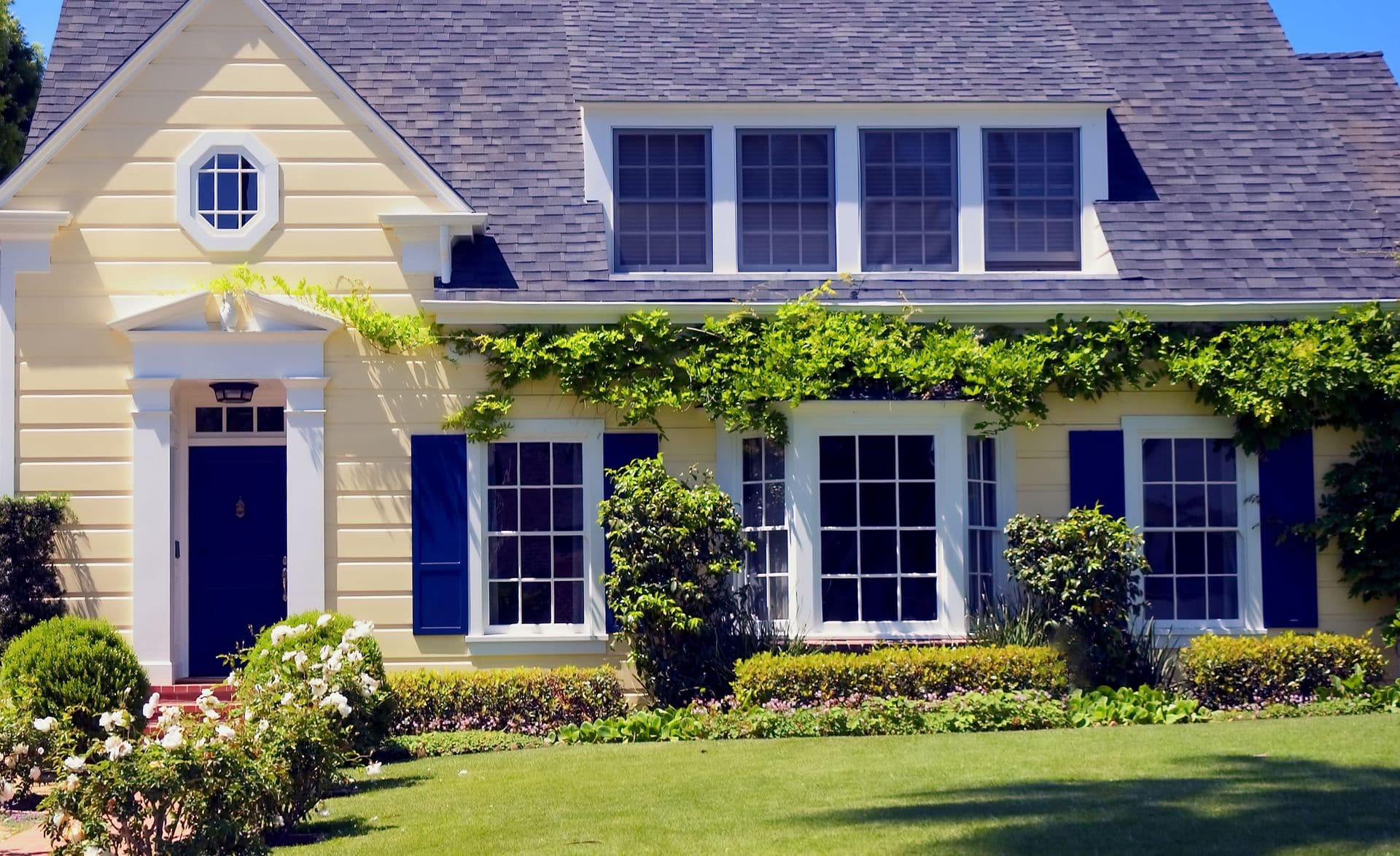 yellow house exterior with ivy and white windows with navy shutters